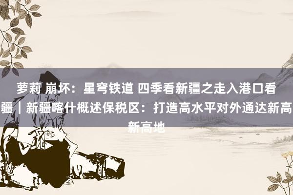 萝莉 崩坏：星穹铁道 四季看新疆之走入港口看新疆｜新疆喀什概述保税区：打造高水平对外通达新高地