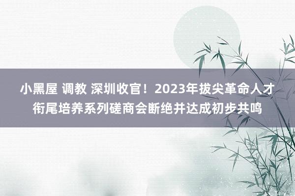 小黑屋 调教 深圳收官！2023年拔尖革命人才衔尾培养系列磋商会断绝并达成初步共鸣