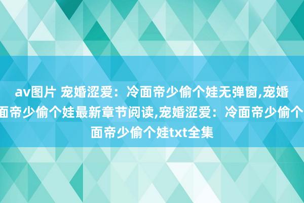 av图片 宠婚涩爱：冷面帝少偷个娃无弹窗，宠婚涩爱：冷面帝少偷个娃最新章节阅读，宠婚涩爱：冷面帝少偷个娃txt全集