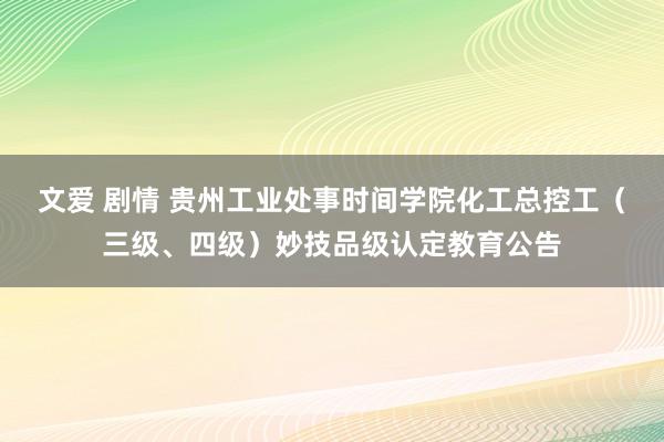 文爱 剧情 贵州工业处事时间学院化工总控工（三级、四级）妙技品级认定教育公告