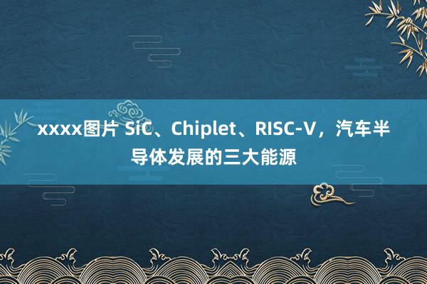 xxxx图片 SiC、Chiplet、RISC-V，汽车半导体发展的三大能源