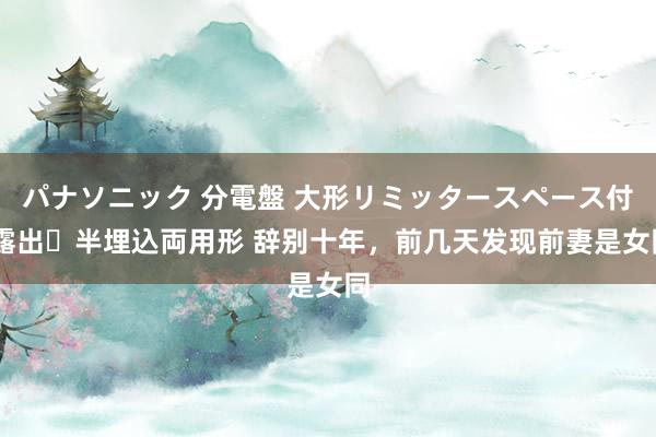 パナソニック 分電盤 大形リミッタースペース付 露出・半埋込両用形 辞别十年，前几天发现前妻是女同