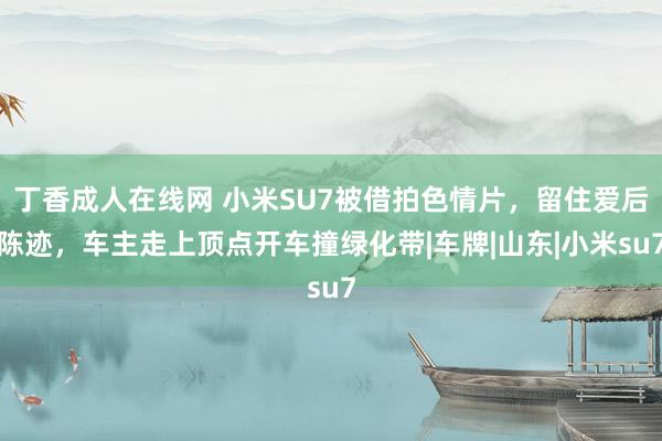 丁香成人在线网 小米SU7被借拍色情片，留住爱后陈迹，车主走上顶点开车撞绿化带|车牌|山东|小米su7