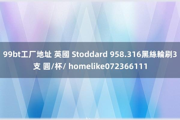 99bt工厂地址 英國 Stoddard 958.316黑絲輪刷3支 圓/杯/ homelike072366111